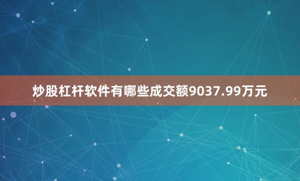 炒股杠杆软件有哪些成交额9037.99万元