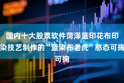 国内十大股票软件菏泽蓝印花布印染技艺制作的“蓝染布老虎”憨态可掬