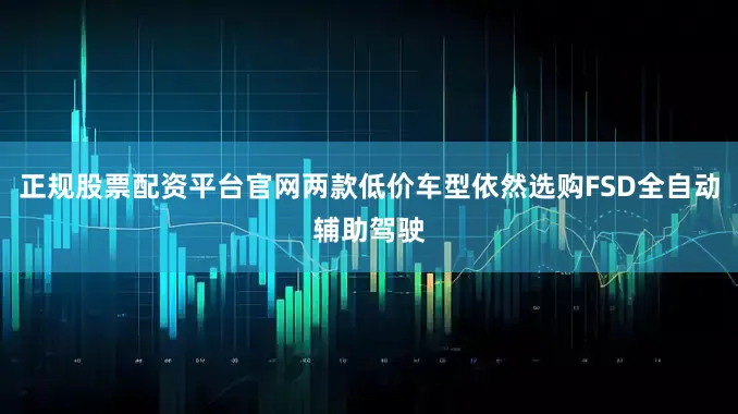 正规股票配资平台官网两款低价车型依然选购FSD全自动辅助驾驶